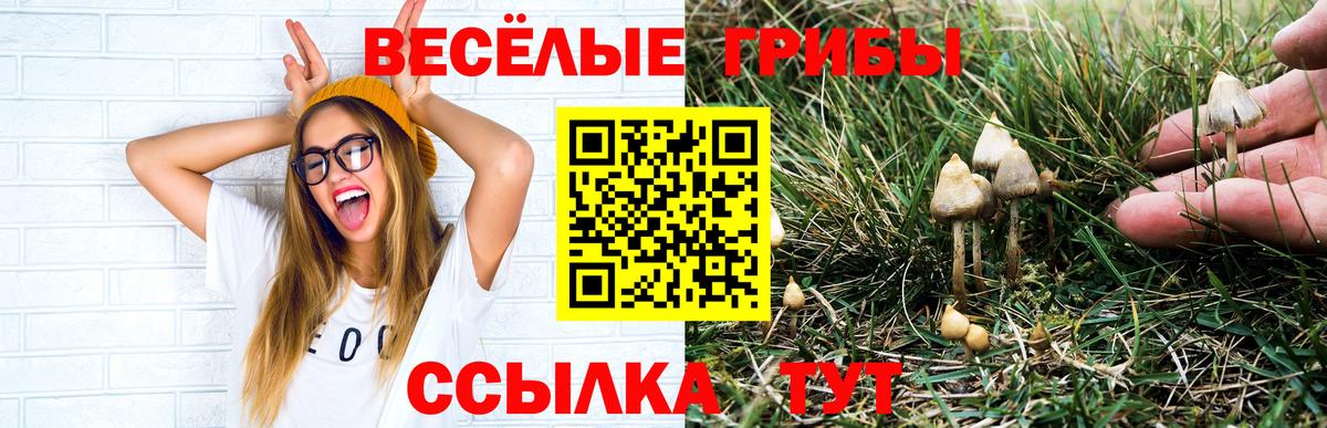 Псилоцибиновые грибы Magic Shrooms  Вход с VPN  Тайшет 